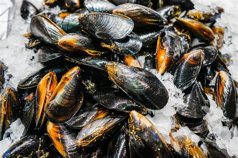 spring bay mussels nicholas seafood