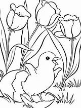 Spring Coloring Pages Drawing Landscape Season Library Clipart Simple sketch template