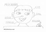 Coloring Senses Five Pages Printable Sheet Template Mr Popular Potato Head sketch template