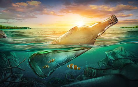 plastic    ocean     affect marine life