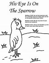 Sparrow Coloring Eye His Bible Verse School Sunday Pages Lesson Sparrows Preschool Lessons Choose Board Churchhousecollection Verses sketch template