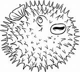 Coloring Porcupine Drawing Blowfish Spine Fish Puffer Getcolorings Pages Paintingvalley Getdrawings sketch template
