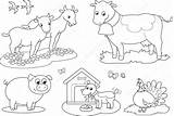 Fattoria Animali Colorare Ferme Bambini Outline Vache Chien Cochon Pour Fazenda Rondine Tacchino Capra Mucca Maiale Parati Dindon Chevre Enfants sketch template