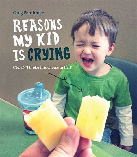 Reasons My Son Is Crying Book Inspired By Viral Blog Daily Mail Online