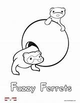 Coloring Ferret Pages Sugar Glider Ferrets Alphabet Activities Kids Drawing Sweeper Printable Getdrawings Getcolorings Colouring Sheets sketch template