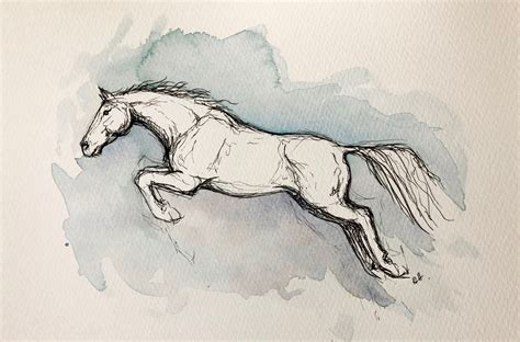 original watercolor  ink art jumping horse   horse sketch