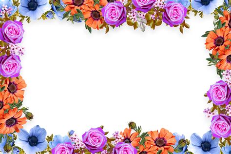 floral frame background graphic  fstock creative fabrica