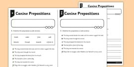 prepositions test teacher  twinkl