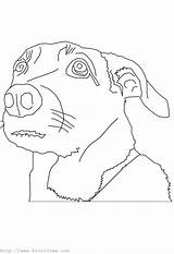 Coloring Pages Dog Outline sketch template