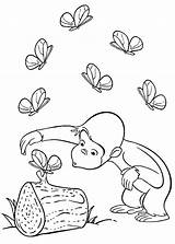 Curious George Coloring Pages Kids Butterflies sketch template
