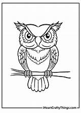 Wise Owls Iheartcraftythings sketch template