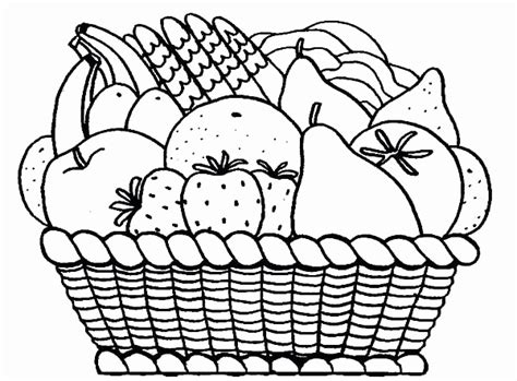fruit basket drawing easy  paintingvalleycom explore collection