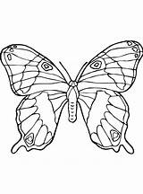 Kids Coloring Fun Butterflies sketch template