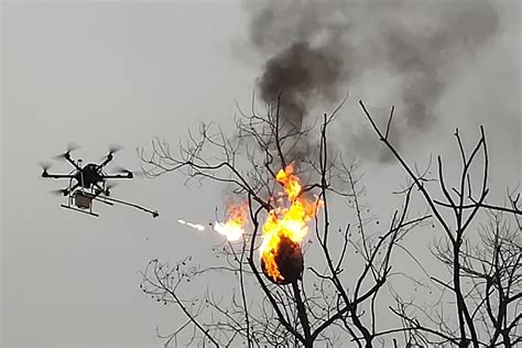 flamethrower drone incinerates wasp nests  china