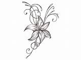 Tatuaggi Tatuaggio Draw Crosses Clipartmag Blume Jasmin Wallpaperaccess Brighten Totgallery Jasmine Blumenbilder sketch template