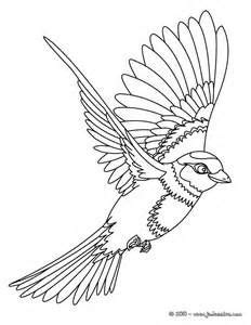 bird  flight stencils  printable bing images bird coloring