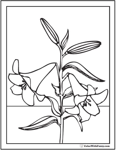 lily coloring pages fun interactive notebook  printables
