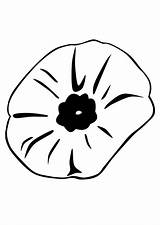 Poppy Coloring Pages Remembrance Flower Clipart Flowers Printable Color Close Popular Library Coloringhome Cut sketch template