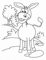 Coloring Donkey Pages Mexican Grin Big Sunny Designlooter Kids 776px 76kb sketch template