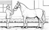 Horse Coloring Pages Grazing Printable Stall Print sketch template