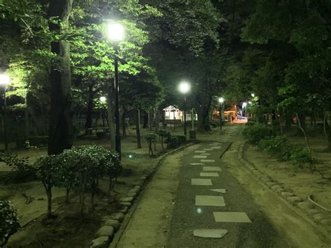 night walk   park japan web magazine