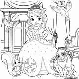 Sofia Princesse sketch template