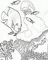 Reef Coral Coloring Pages Fish Barrier Great Drawing Kids Clipart Color Easy Library Printable Coloringhome Getdrawings Getcolorings Books Comments Popular sketch template
