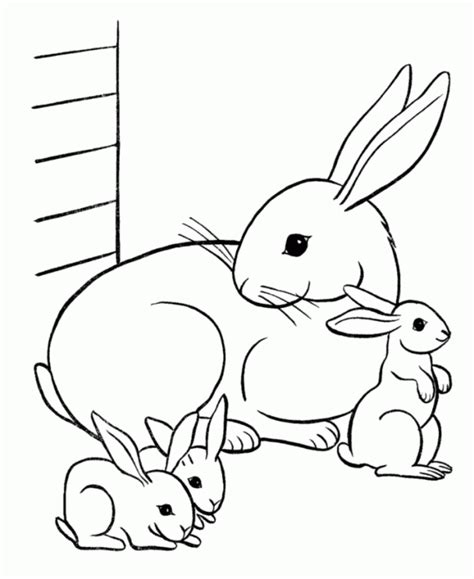 printable rabbit coloring pages  kids