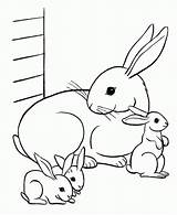 Coloring Pages Bunny Rabbit Kids Printable Color Bunnies Print Baby Cute Animal sketch template