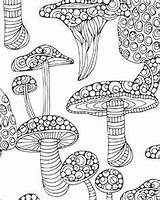 Coloring Pages Colouring Toadstools Mushrooms Books Color Nature Patterns Psychedelic Tangled Colors Adult sketch template