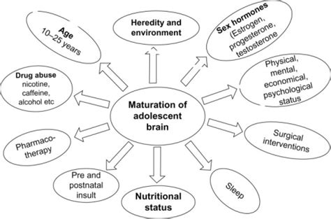 factors influencing adolescent brain maturation notes open i