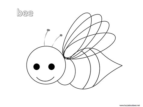 bee coloring pages     print