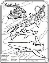 Coloring Pages Shark Goblin Sharks Book Dover Publications Color Ocean Doverpublications Thresher Welcome Frilled Getdrawings Sheets Kids Printable Template Getcolorings sketch template