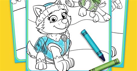 everest paw patrol coloring pages