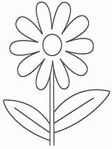 Pages Coloring Flower Chamomile sketch template