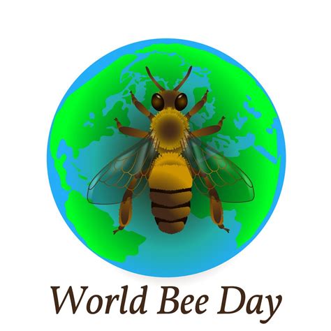 bee day hd pictures images and ultra hd wallpapers for