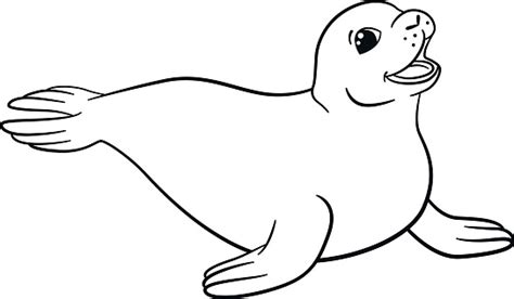 coloring pages  cute seal stock illustration  image
