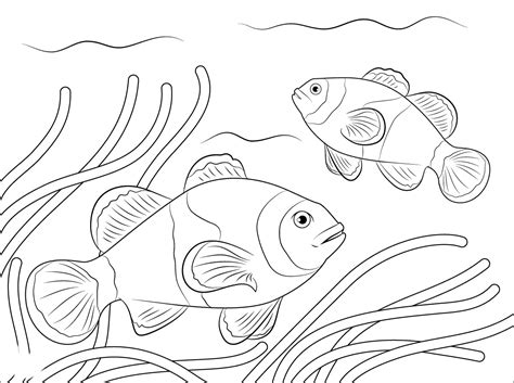 nemo clown fish page coloring pages