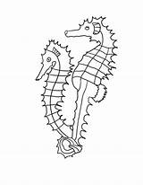 Seahorse Coloring Pages Printable Kids Line Realistic Color Outline Drawing Print Drawings Getdrawings Sheet Activities Wonderweirded Collection sketch template