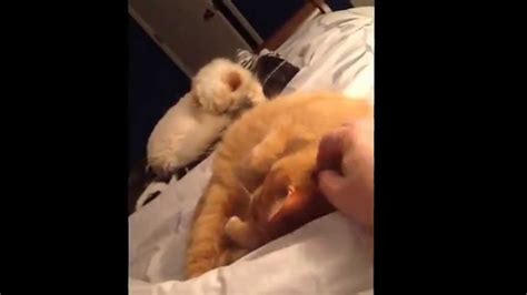 fingering my pussy cat youtube