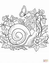 Snail Coloring Pages Printable Drawing Dot Animals Categories sketch template