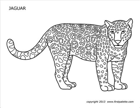 jaguar  printable templates coloring pages firstpalettecom