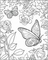 Coloring Pages Butterfly Small Color Printable Getcolorings Colorings Tiny Easy sketch template