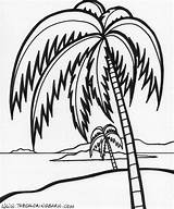 Coloring Pages Island Palm Tree sketch template