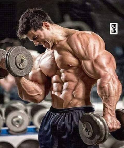 build muscle mass  bodybuildingcom