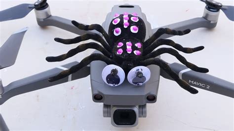 spider dji mavic air mini drone community