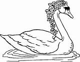 Swan Colorat Lebada Cisne Desene Schwan Pintar Coroa Cisnes Ausmalbild Planse Lebede sketch template
