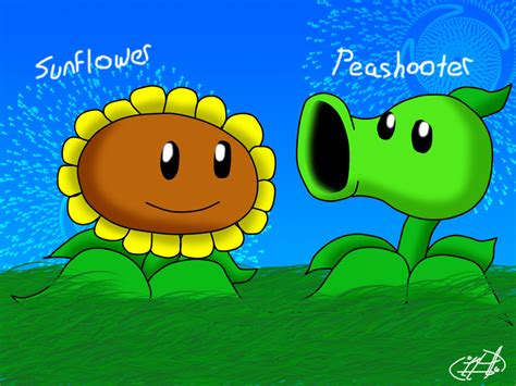sunflower and peashooter by tayilor the fox on deviantart