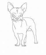 Chihuahua Coloring Pages Dog Kids Bestcoloringpagesforkids Dogs Puppy sketch template
