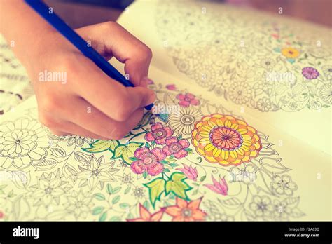 paint coloring book stock photo alamy